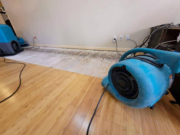 Professional Structural Drying technician working in Grant, AL